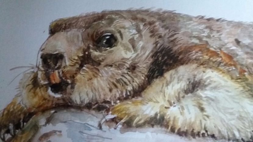  - Picturi in acuarela