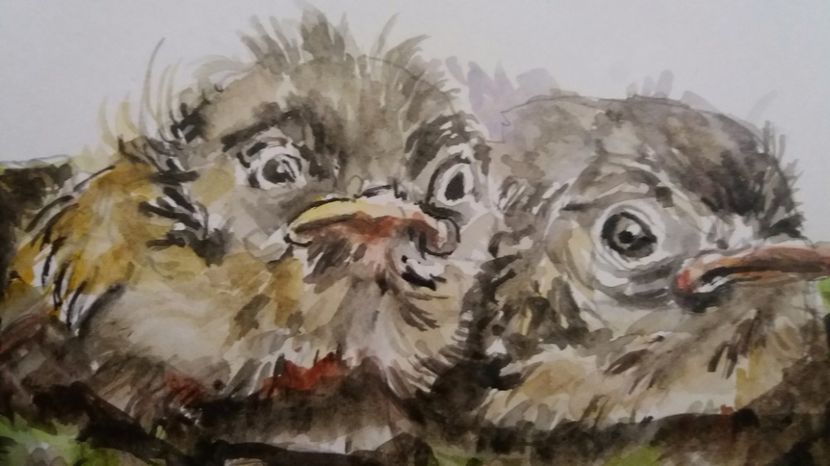  - Picturi in acuarela