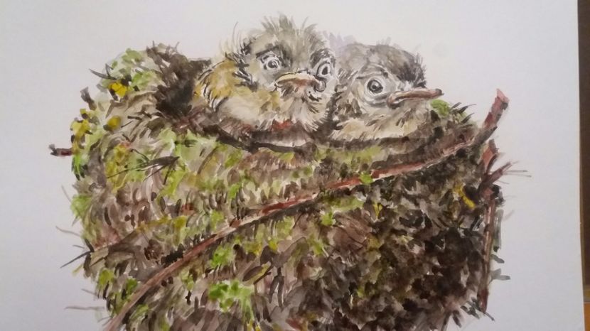  - Picturi in acuarela