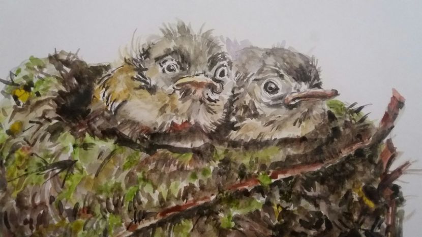  - Picturi in acuarela