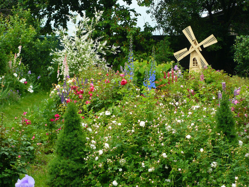 Mme Plantier - 2017_Idilic Garden_Trandafiri