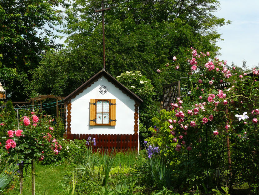 Casuta cu pridvor - 2017_Idilic Garden_Trandafiri