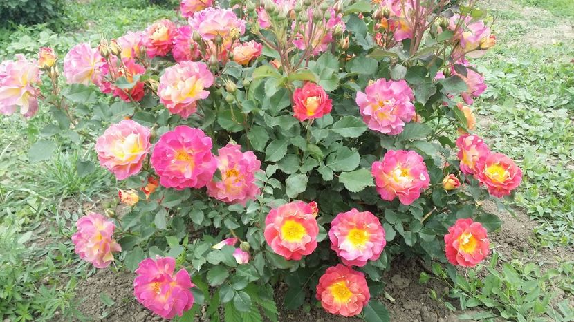  - prieure de st cosme