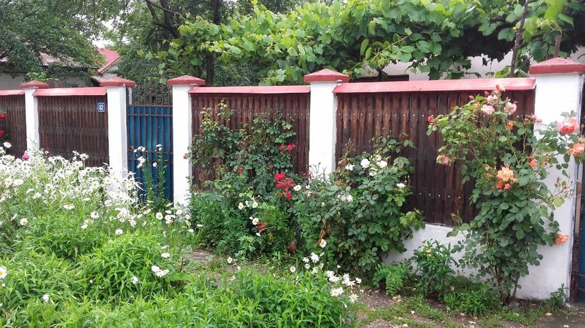  - 2017 gradina