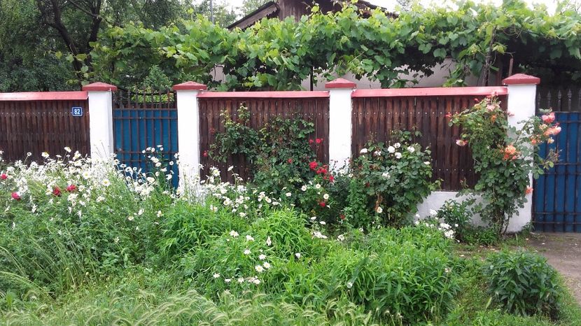  - 2017 gradina