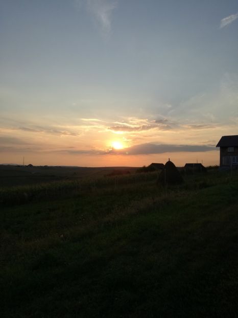  - Surprinzatoarea natura