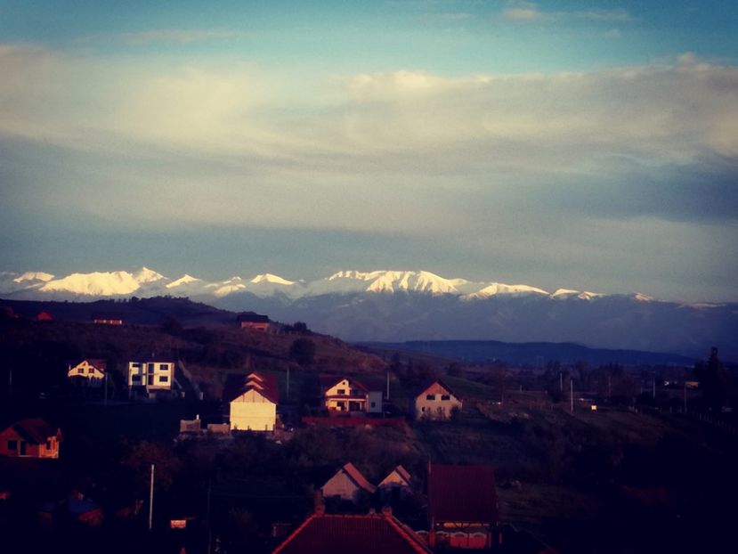  - Surprinzatoarea natura