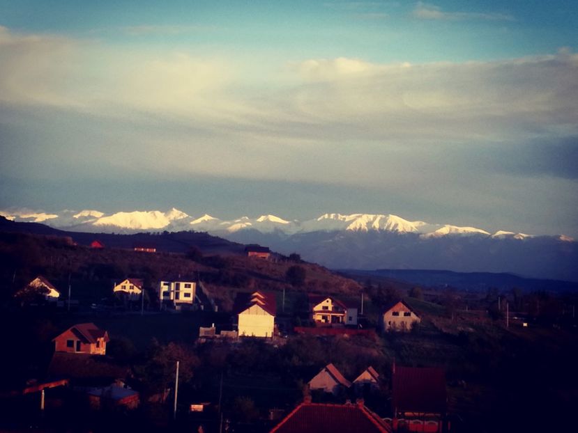  - Surprinzatoarea natura