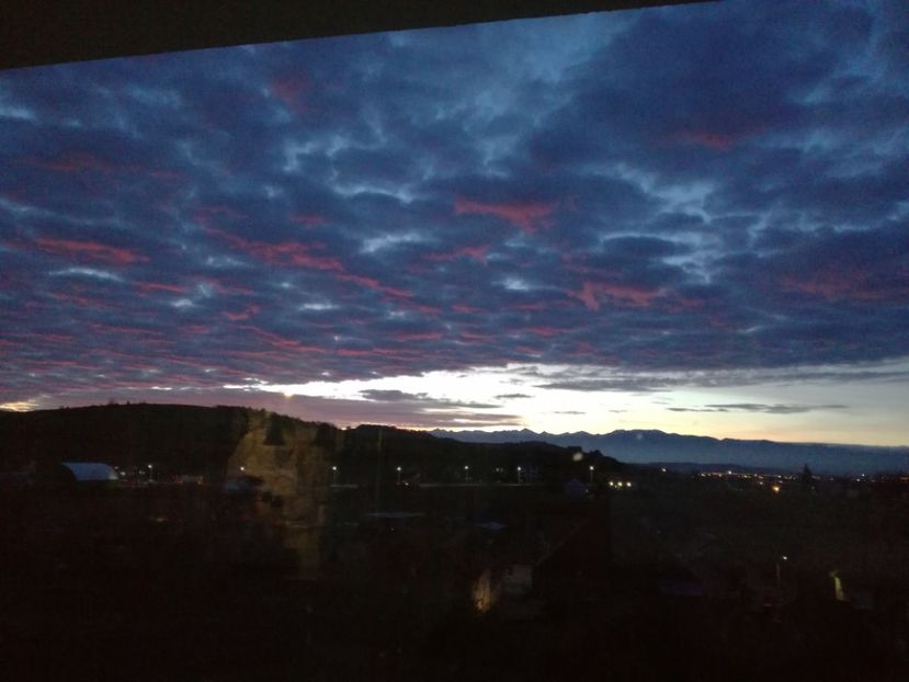  - Surprinzatoarea natura