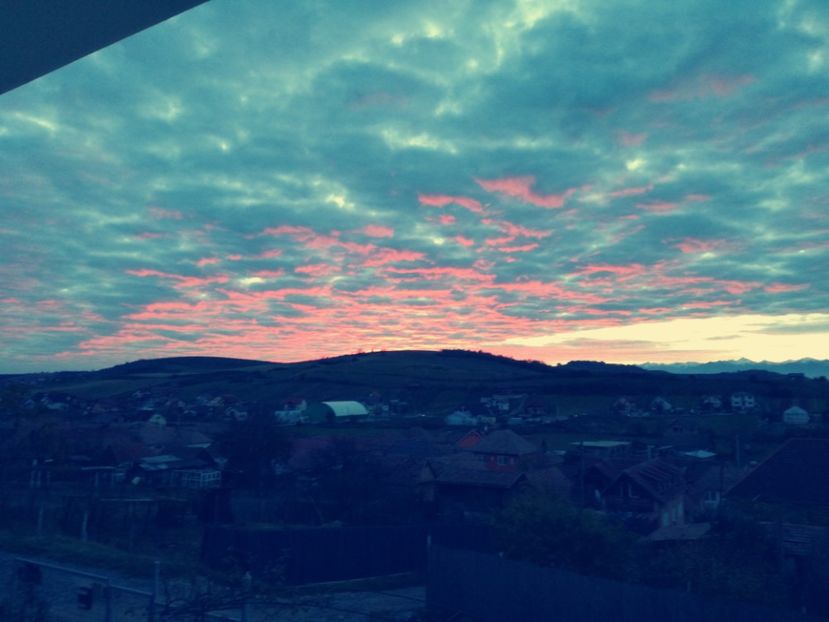  - Surprinzatoarea natura