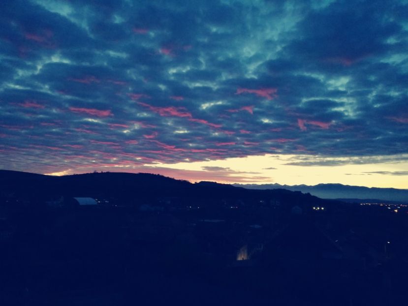  - Surprinzatoarea natura