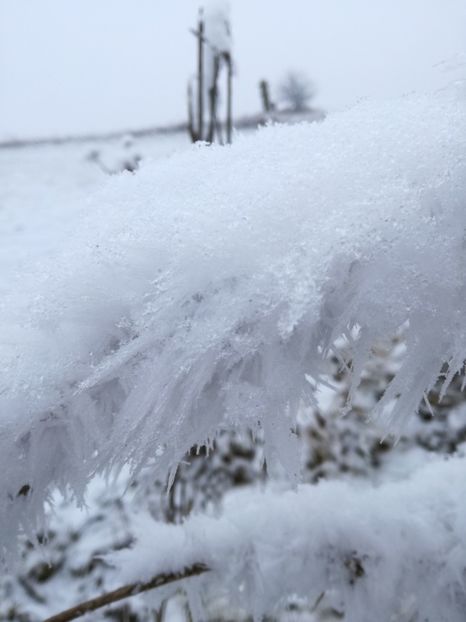  - Surprinzatoarea natura