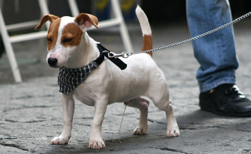 rușinicăăă!... - NATURA ȘI SURPRIZELE EI