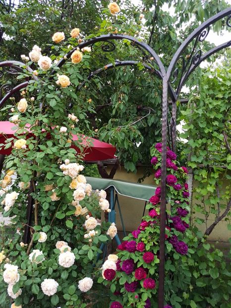  - crown princess margareta