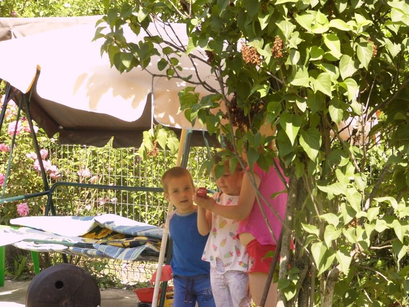 P1340305 - ANUL 2017 VIII