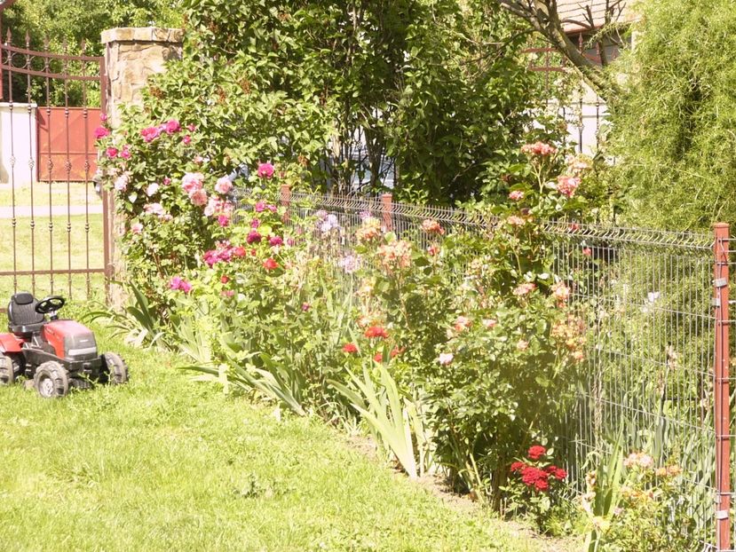 P1340306 - ANUL 2017 VIII