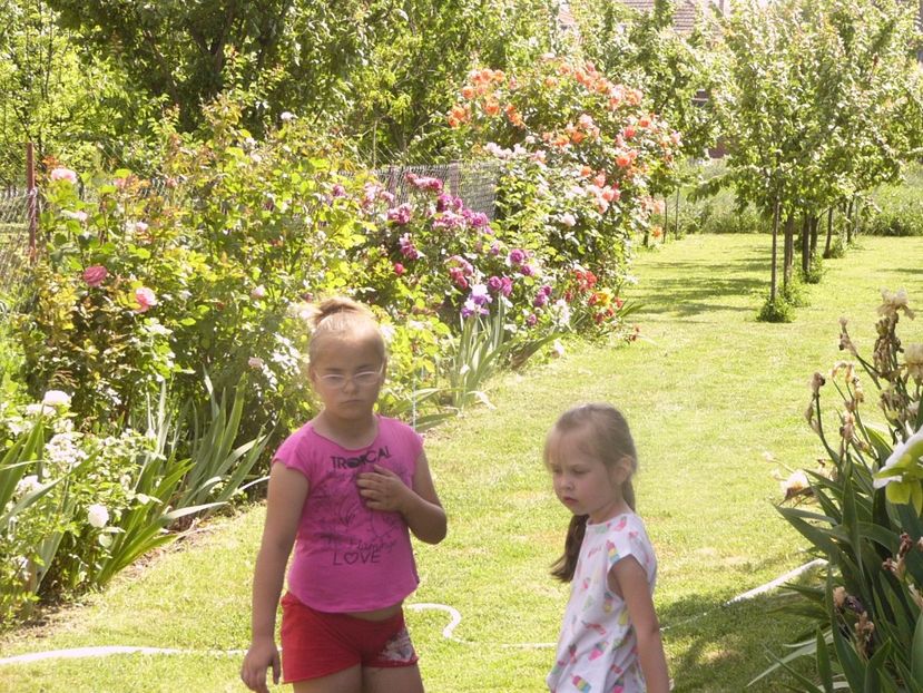 P1340307 - ANUL 2017 VIII