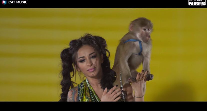 bandicam 2017-05-28 10-54-47-770 - capturi ce vor imi trebui