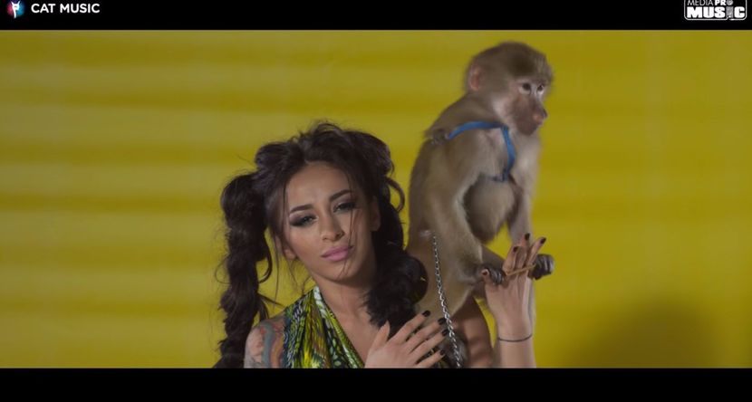 bandicam 2017-05-28 10-54-47-966 - capturi ce vor imi trebui