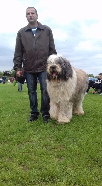  - ARCAN EXPO CAC SI CLUB MIORITIC SIBIU 2017