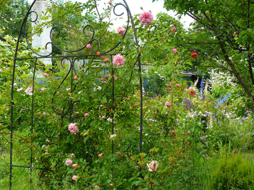 Paul Noel - 2017_Idilic Garden_Trandafiri