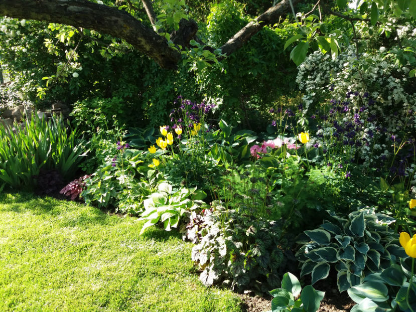 Picture 038 - Vara 2017