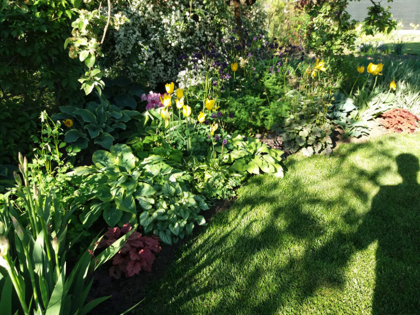 Picture 083 - Vara 2017