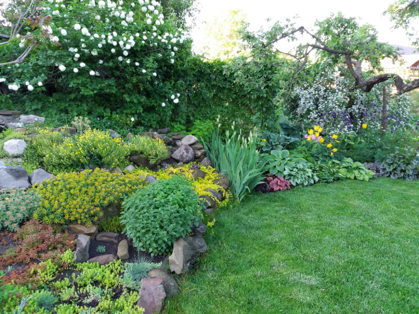 Picture 086 - Vara 2017