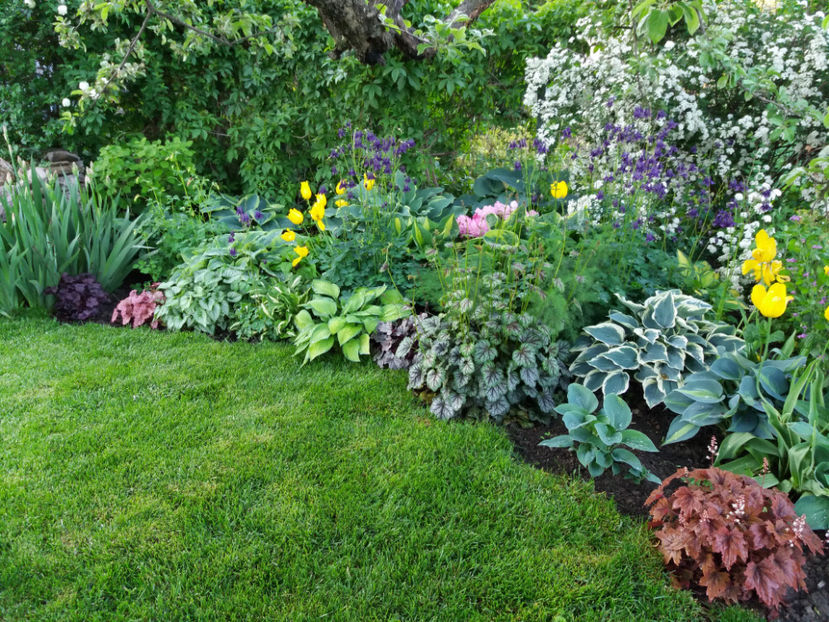 Picture 088 - Vara 2017