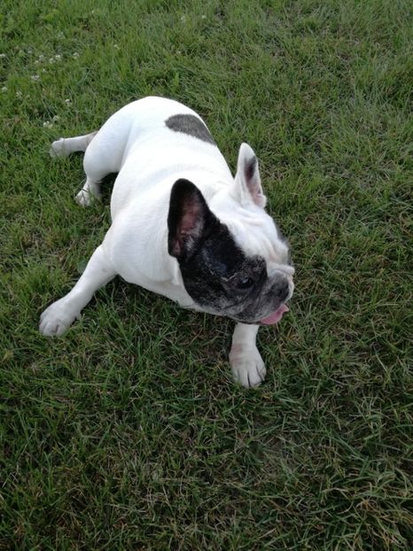  - Maya si prietenii ei