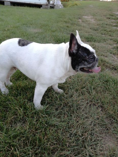  - Maya si prietenii ei