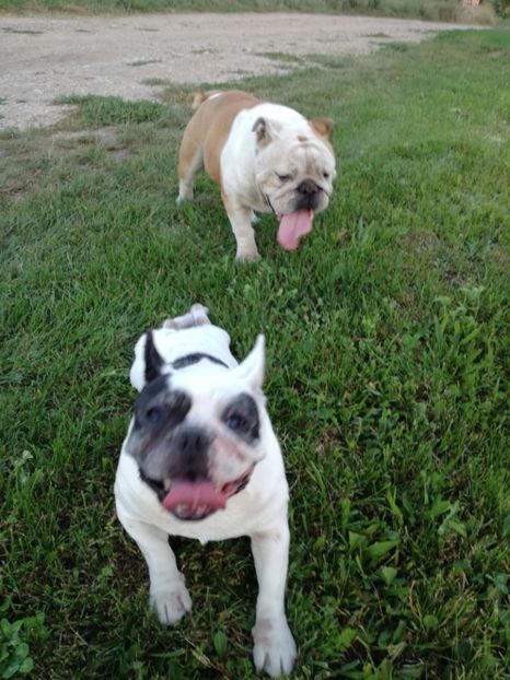  - Maya si prietenii ei