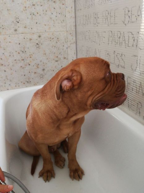  - Maya si prietenii ei