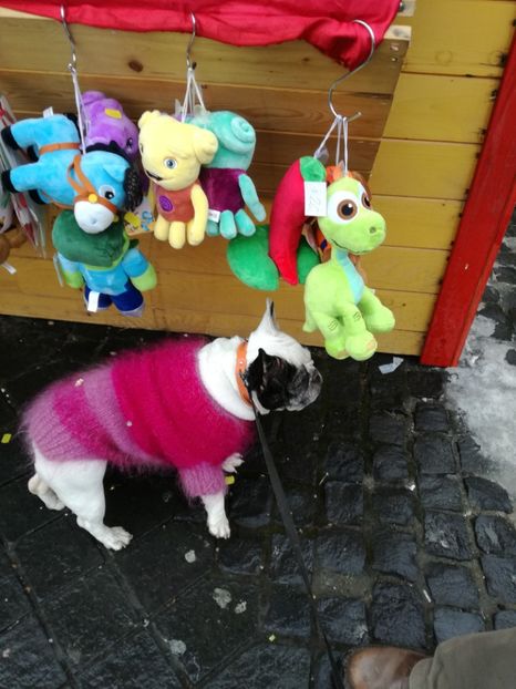  - Maya si prietenii ei