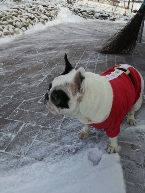  - Maya si prietenii ei