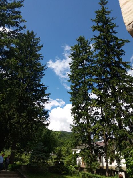  - Călimăneşti-Căciulata