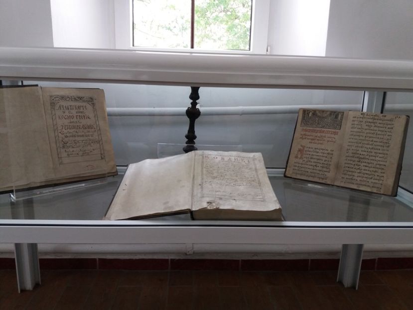  - Mânăstirea Cozia 2017