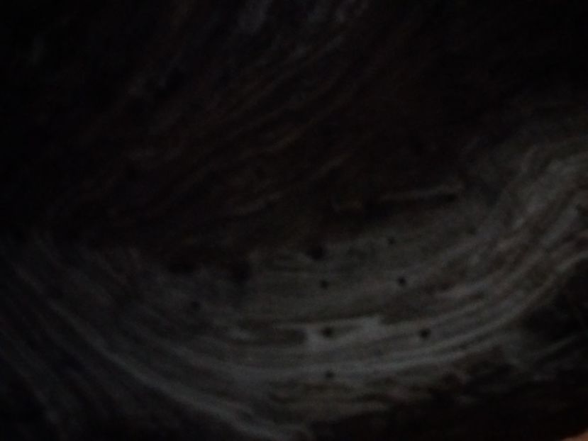  - Salina Ocnele Mari