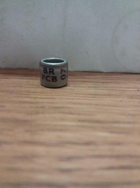 BR FCB  o7 - brazilia BR FCB