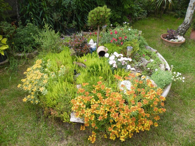  - 2017 in gradina mea