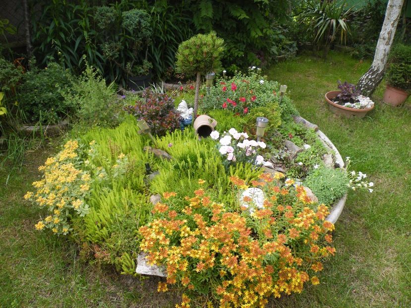  - 2017 in gradina mea