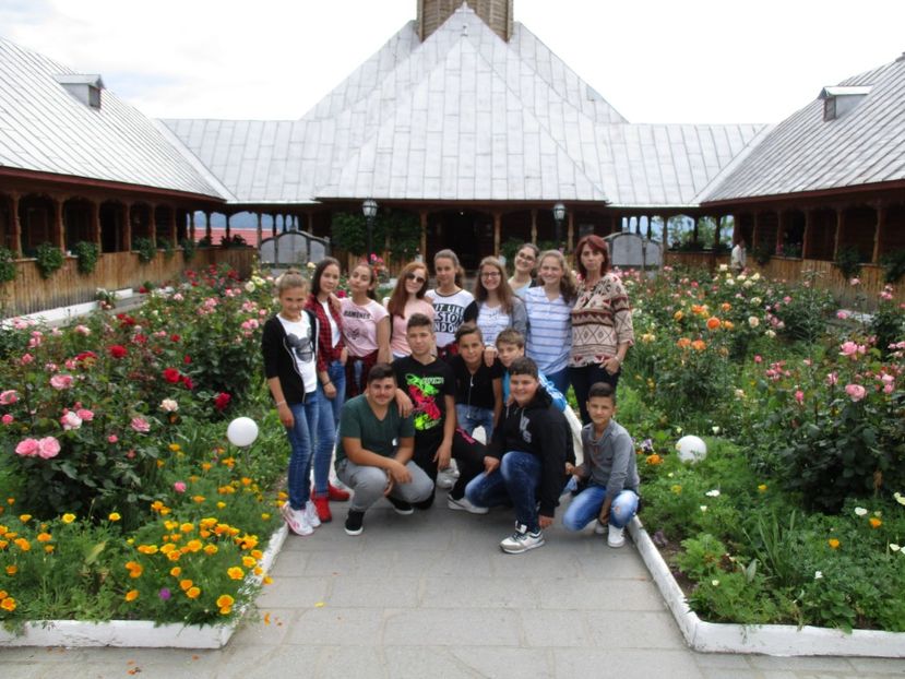  - 2017 - Excursie - luna mai