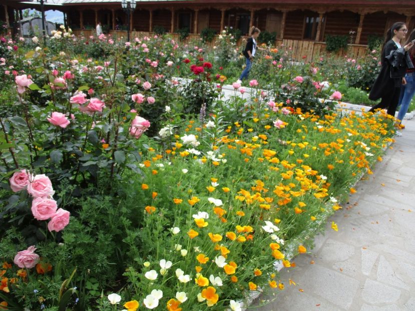  - 2017 - Excursie - luna mai