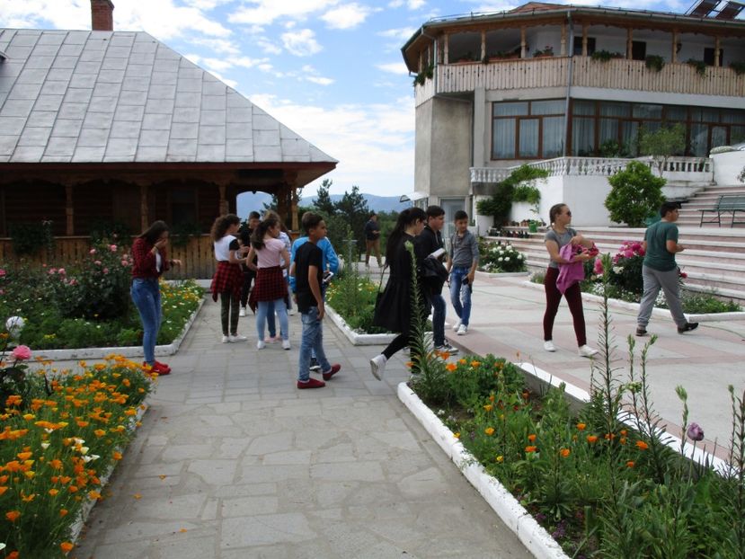  - 2017 - Excursie - luna mai