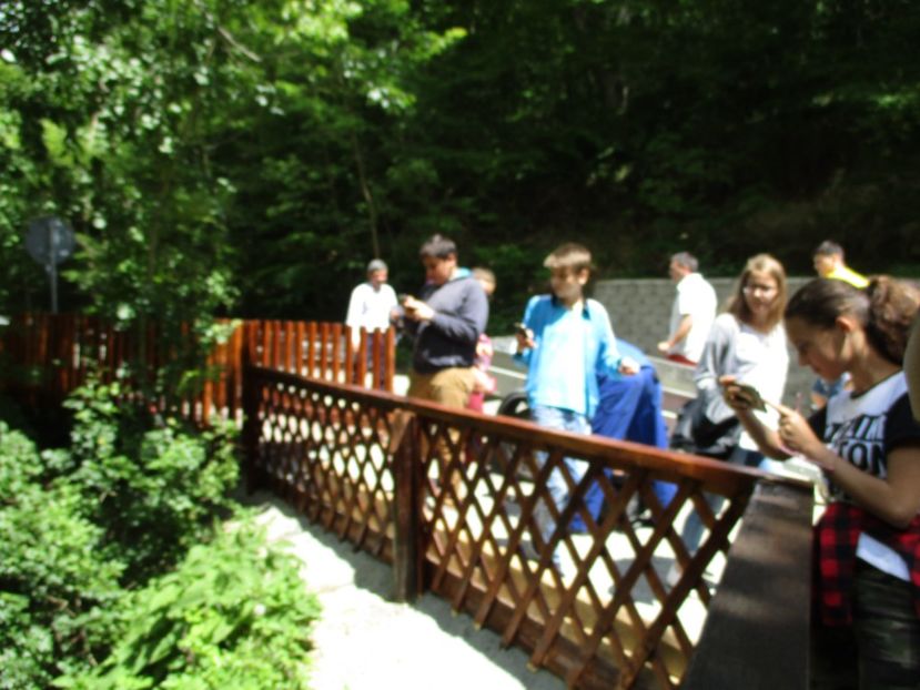  - 2017 - Excursie - luna mai