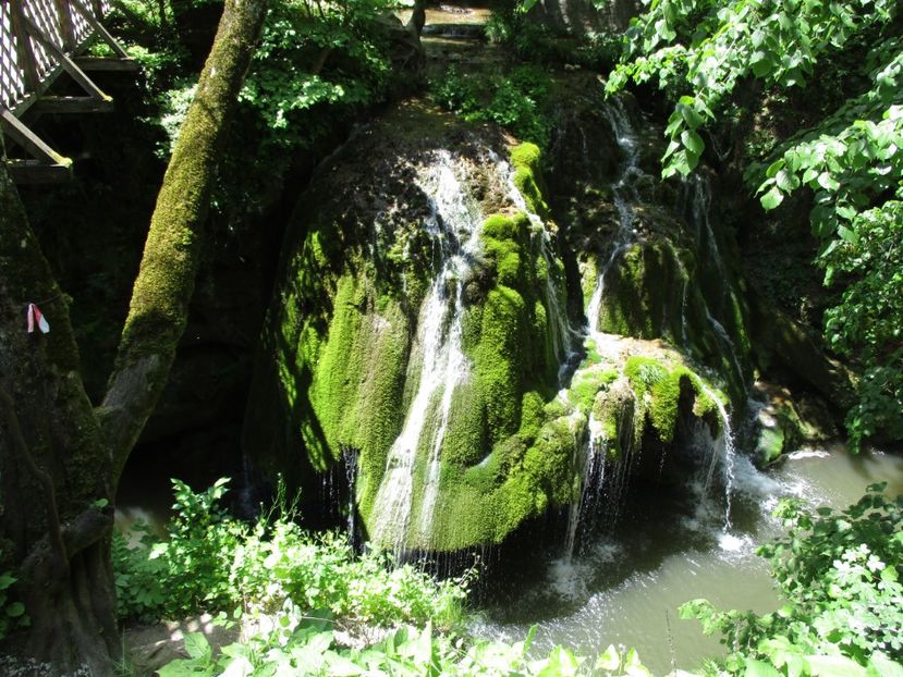  - 2017 - Excursie - luna mai