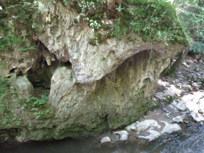  - 2017 - Excursie - luna mai