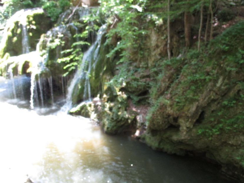  - 2017 - Excursie - luna mai