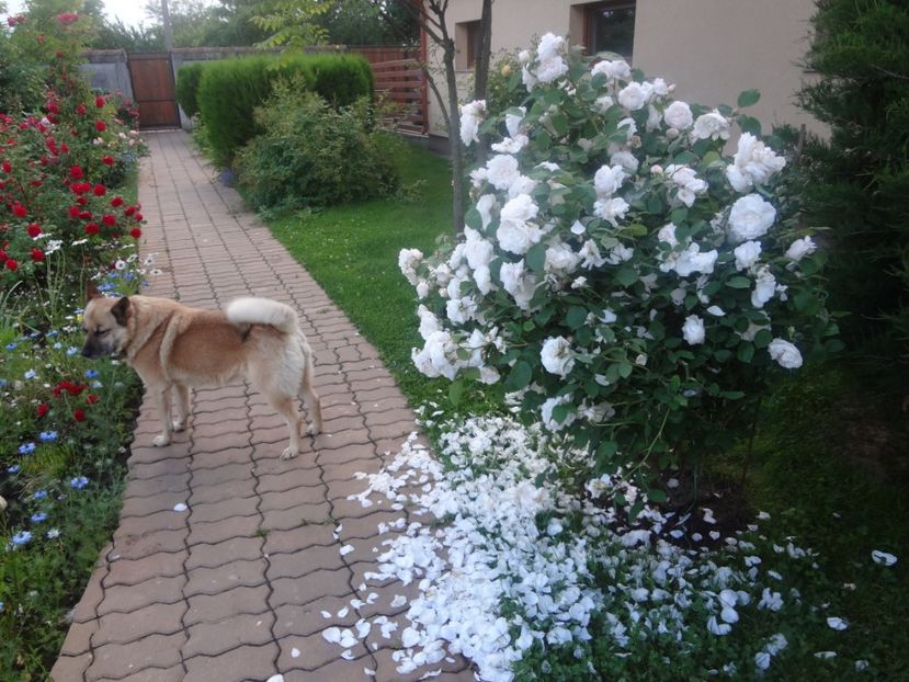  - Austin - Winchester Cathedral