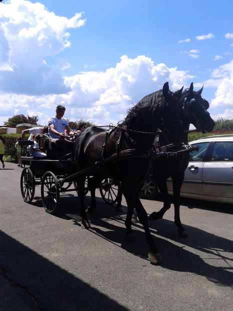 Fotografie0127 - 20---expozitie banatagralim 27 05 2017